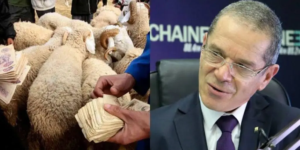 Aid El Adha 2022 : le ministre s’exprime sur les prix du mouton
