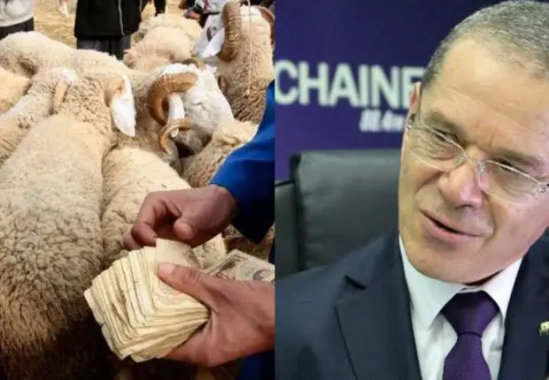 Aid El Adha 2022 : le ministre s’exprime sur les prix du mouton