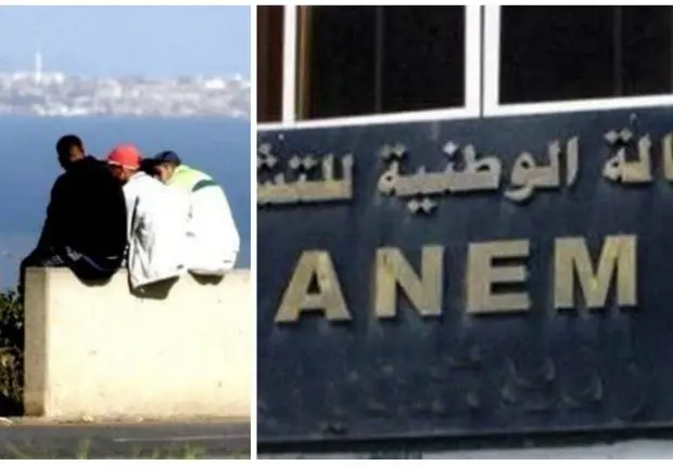 Allocation chômage : communiqué important de l’agence de l’emploi