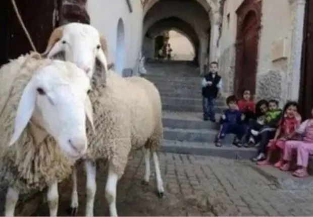 Aïd Al Adha 2022 en Algérie : le ministère annonce la date