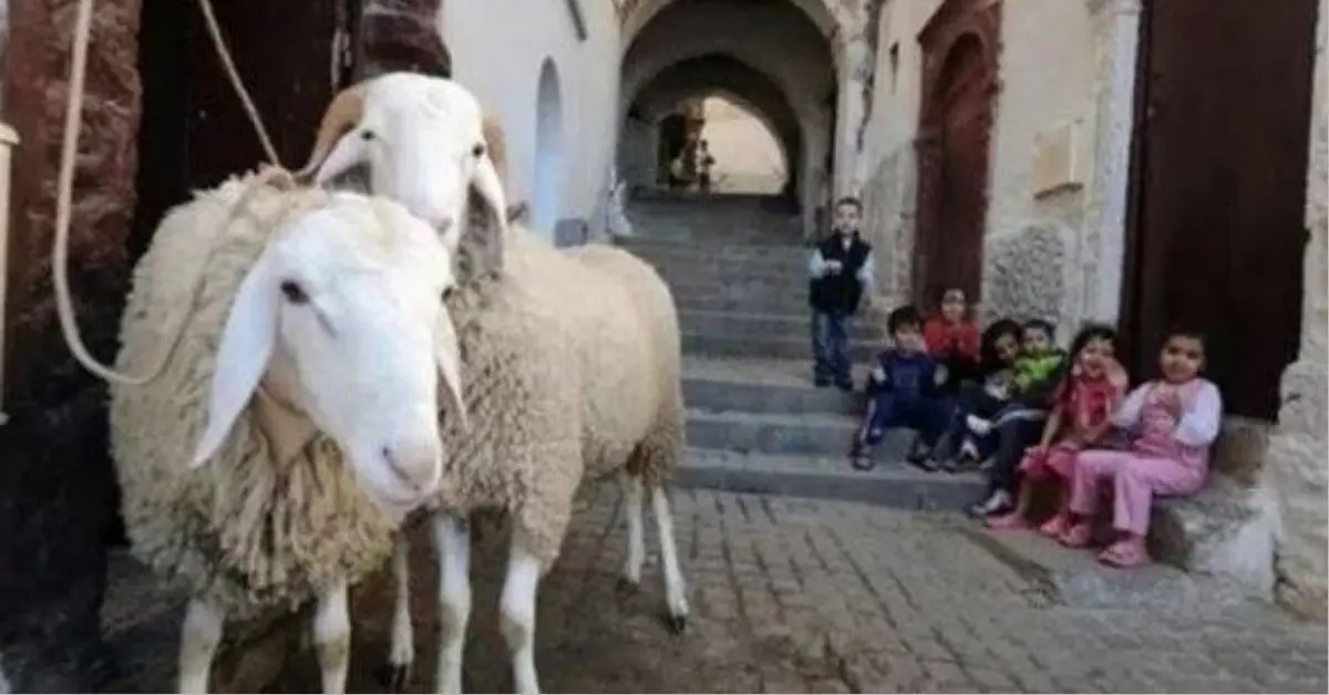 Aïd Al Adha 2022 en Algérie : le ministère annonce la date