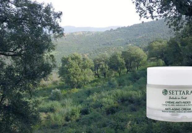Une marque française puise ses ingrédients des forêts algériennes