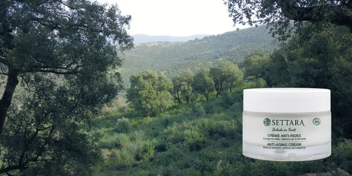 Une marque française puise ses ingrédients des forêts algériennes