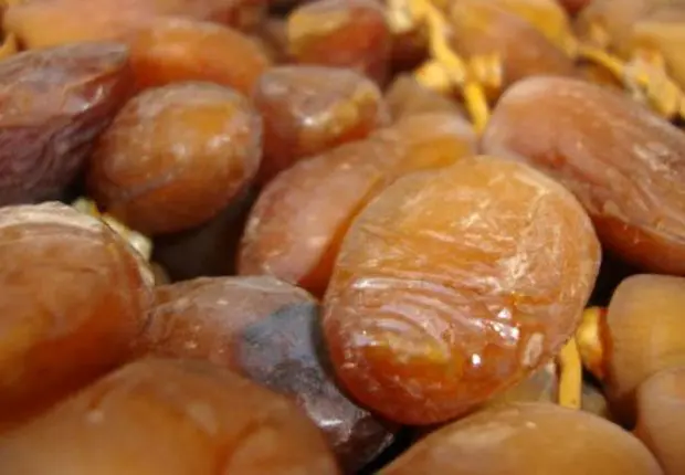 Deglet Nour : quand la datte algérienne conquiert l’Amérique