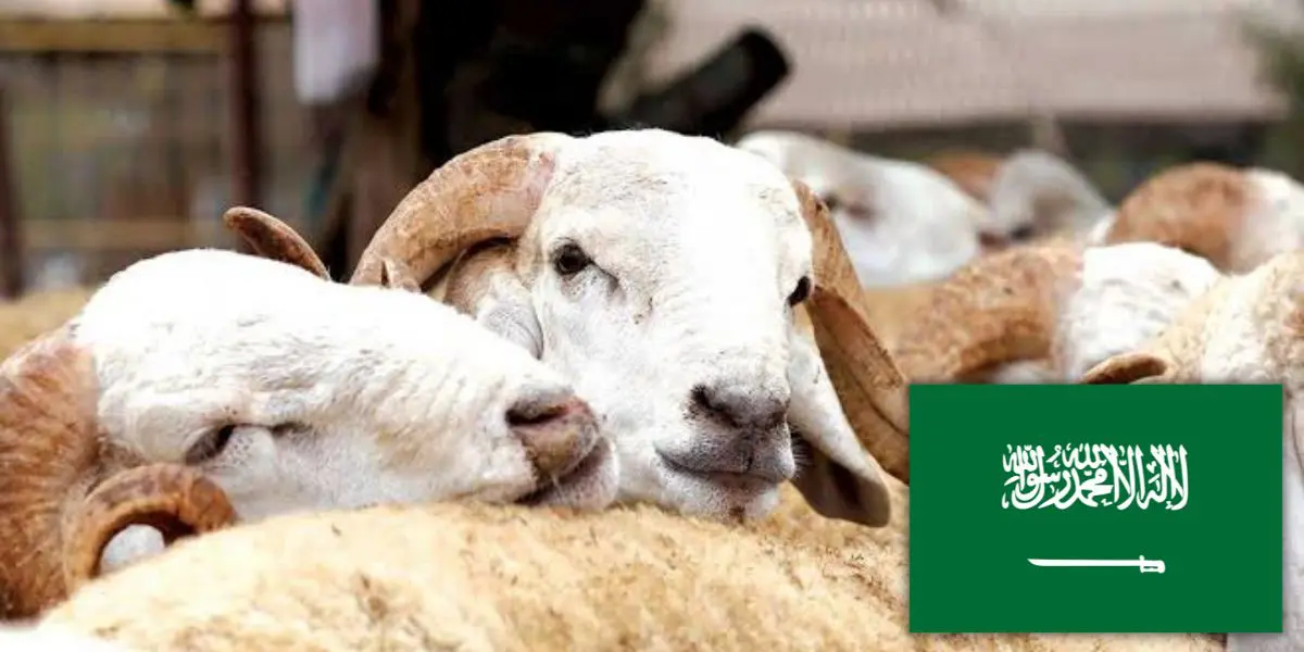 Aid El Adha 2022 : un calendrier officiel saoudien fixe la date