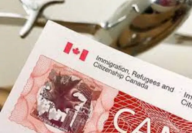 Visas d&rsquo;étude Canada en Algérie : les dessous de la hausse des refus