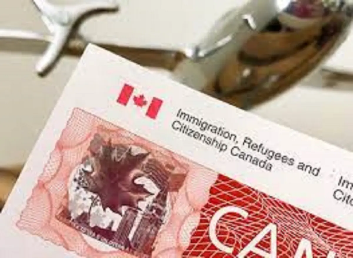 Visas d’étude Canada en Algérie : les dessous de la hausse des refus