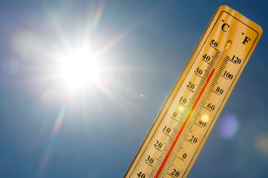 Nouveau record de chaleur en janvier 2024 : une tendance inquiétante