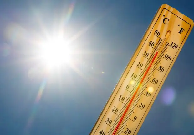 Nouveau record de chaleur en janvier 2024 : une tendance inquiétante