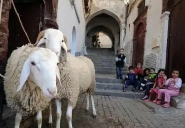 Aid Al Adha 2022 : un institut d’astronomie égyptien fixe la date