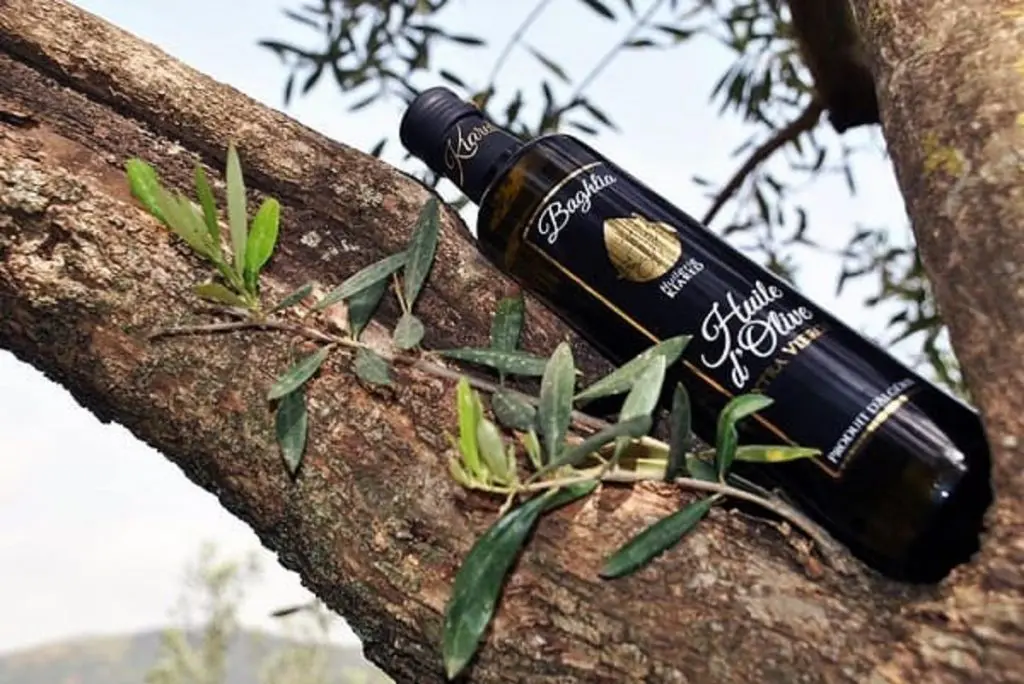 Trois marques algériennes d’huile d’olive se distinguent à Londres