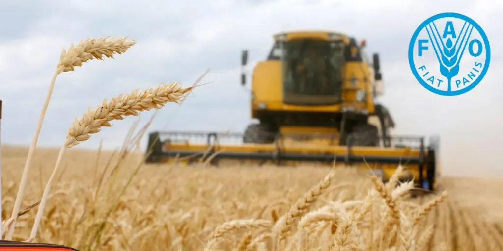 Prix alimentaires : que disent les chiffres de la FAO ?