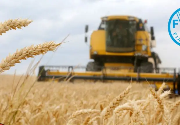 Prix alimentaires : que disent les chiffres de la FAO ?