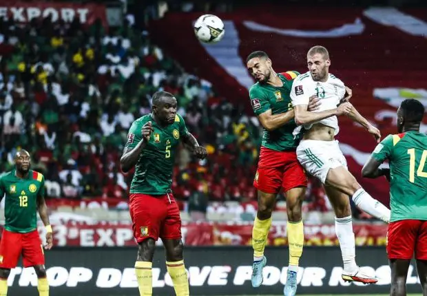 Vers un autre match Algérie-Cameroun le mois prochain