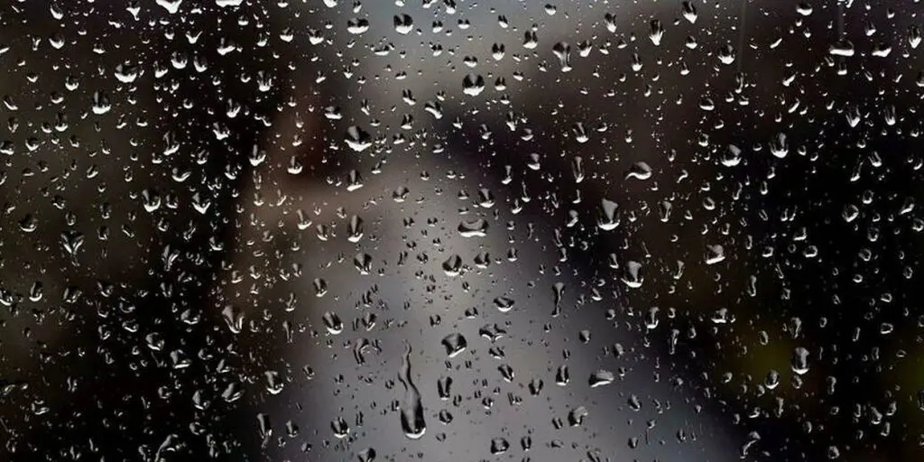 Prévisions Météo : alerte pluies orageuses sur 8 wilayas ce 21 juillet