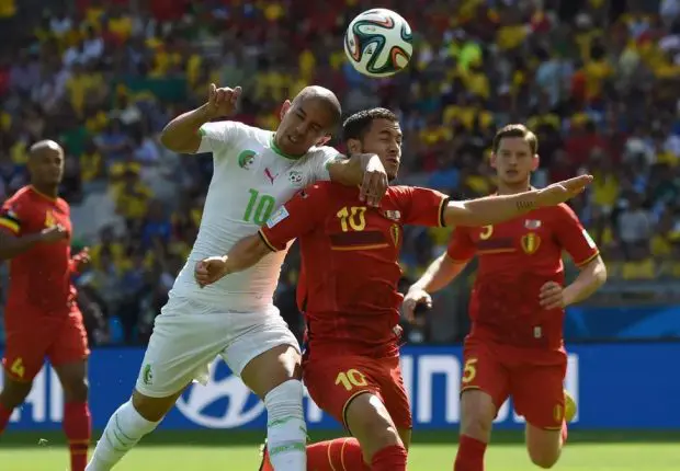 Equipe d’Algérie : la sélection de la Belgique snobe les Verts ?