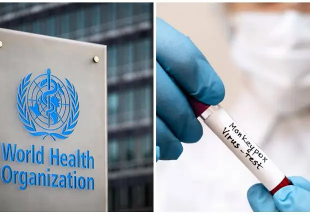 Variole du singe : l’OMS déclenche le plus haut niveau d’alerte