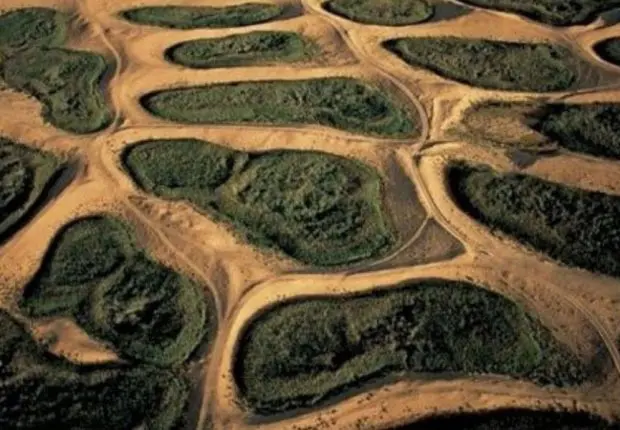 Agriculture dans le grand Sud Algérien : potentiel et perspectives