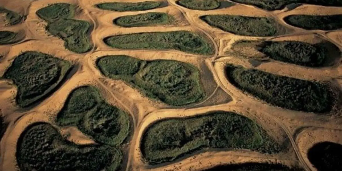 Agriculture dans le grand Sud Algérien : potentiel et perspectives
