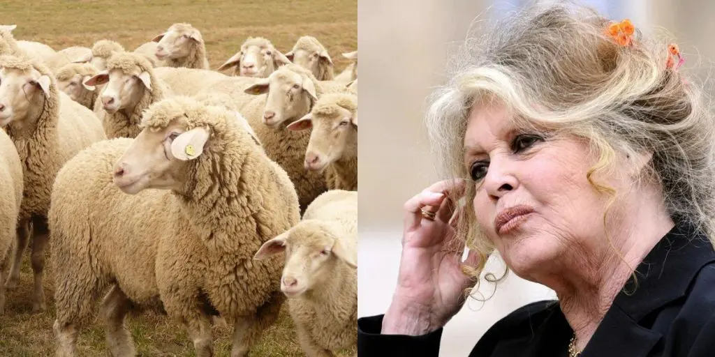 France : Brigitte Bardot qualifie l’Aïd al-Adha de « fête immonde »