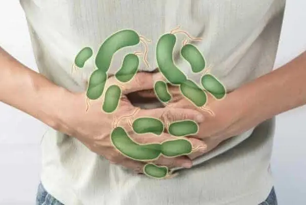 Intoxications alimentaires – été 2023 : le ministère de la Santé met en garde