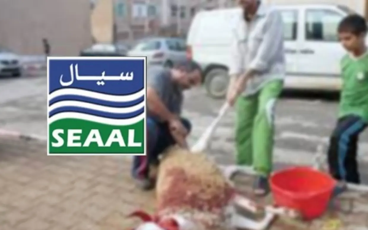 Aïd al-Adha 2022: SEAAL dévoile le programme d’AEP pour Alger et Tipaza