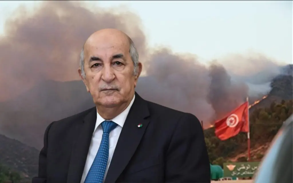 Incendies en Tunisie : Tebboune déploie les grands moyens
