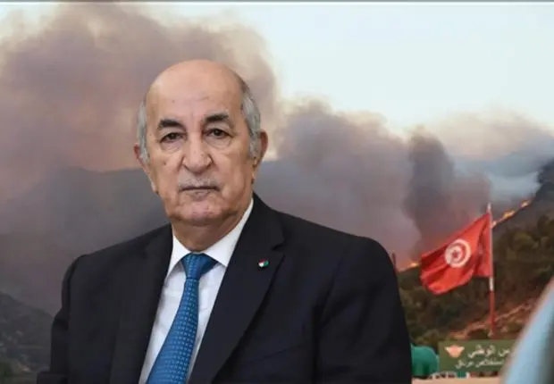 Incendies en Tunisie : Tebboune déploie les grands moyens