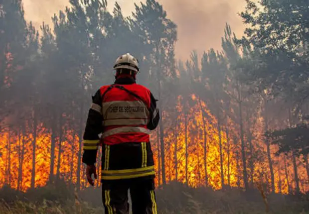 Incendies en France : la Grande Mosquée de Paris lance une cagnotte