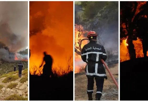 Feux de Forêts 2022 en Algérie: le point sur la situation de ce 15 aout