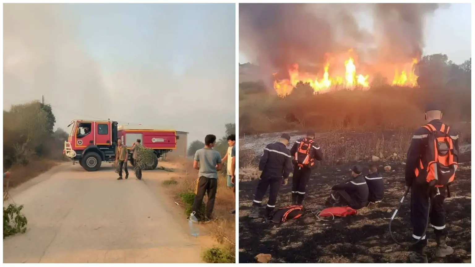 Incendies à Béjaïa: la protection civile fait un point