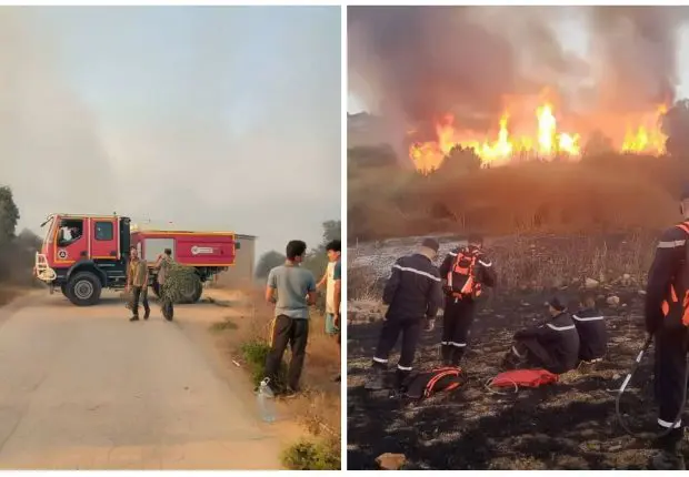 Incendies à Béjaïa: la protection civile fait un point