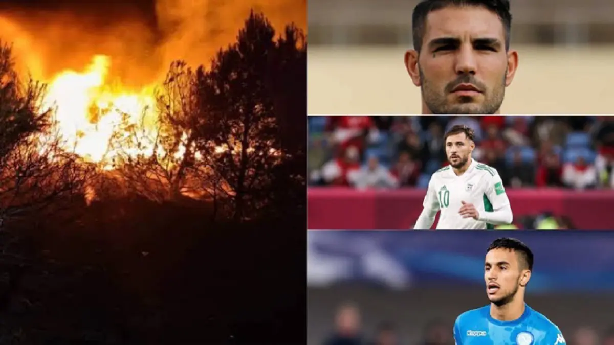 Ravages des incendies en Algérie : les Verts expriment leur solidarité