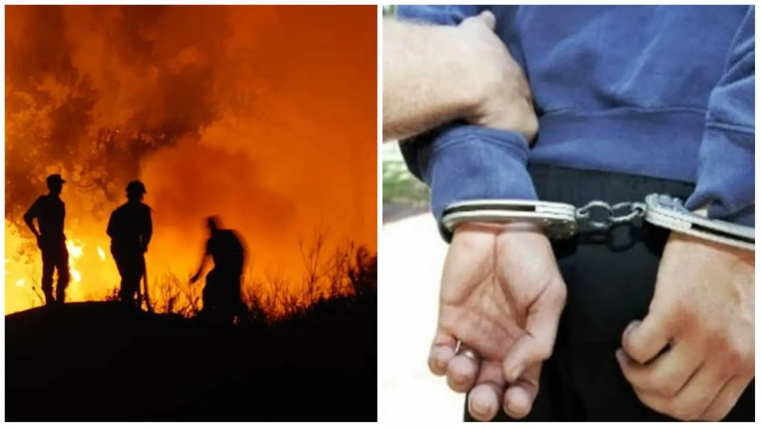 Feux de forêts en Algérie : le nombre de suspects arrêtés augmente