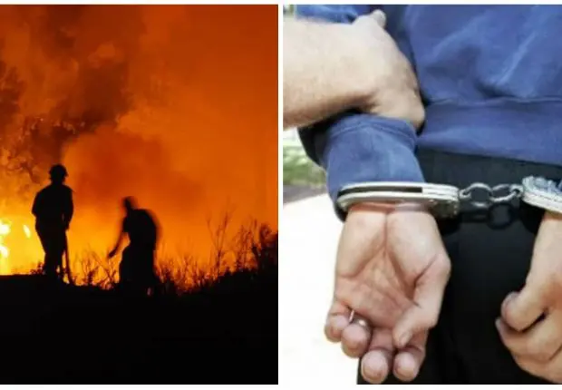 Feux de forêts en Algérie : le nombre de suspects arrêtés augmente