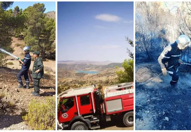Feux de forêts : la protection civile fait le point sur la situation