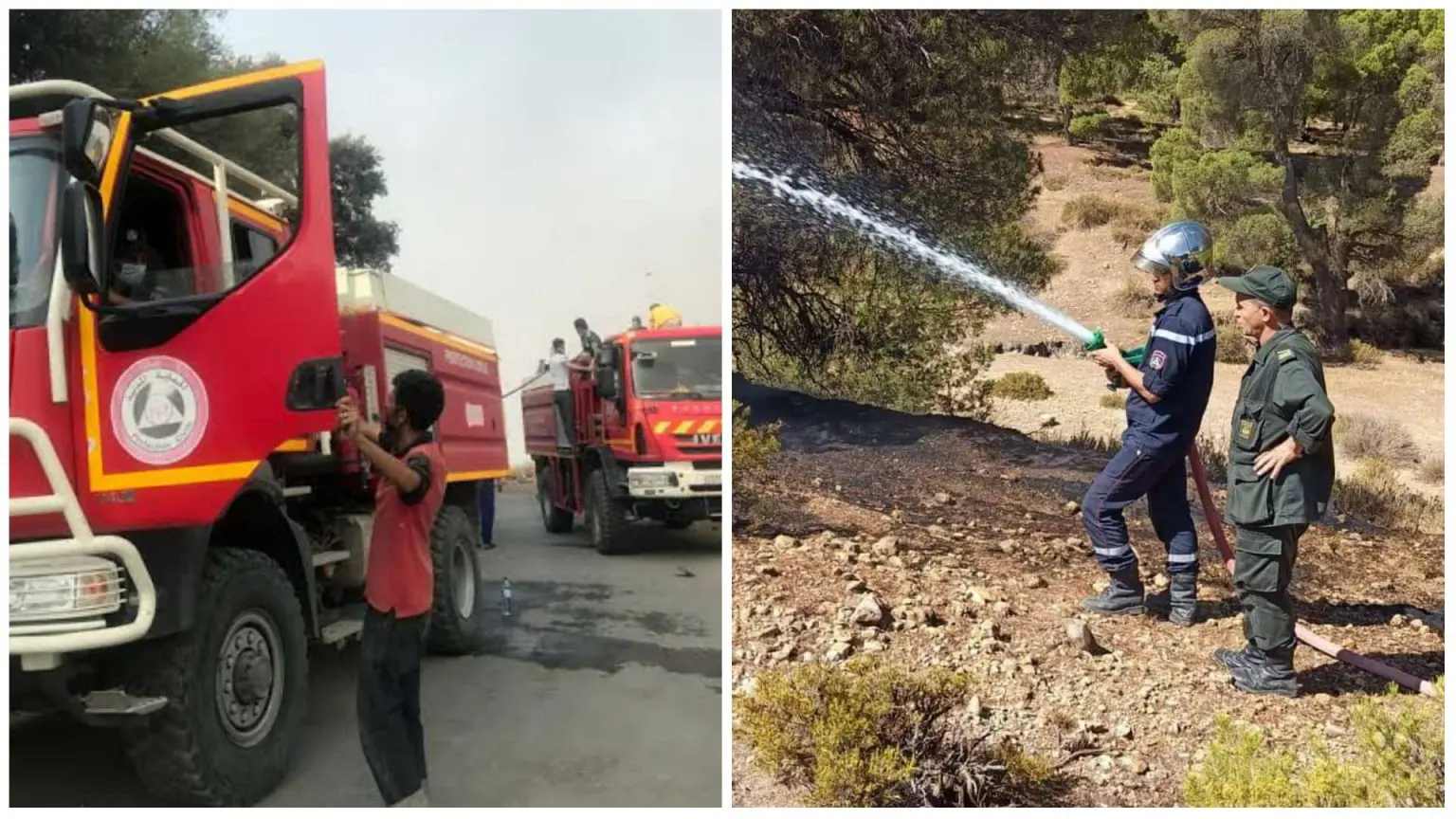 La protection civile annonce l’extinction de tous les feux de forêts