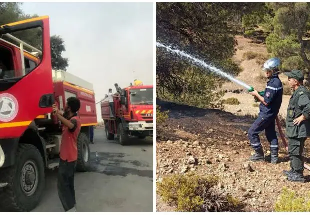 La protection civile annonce l’extinction de tous les feux de forêts