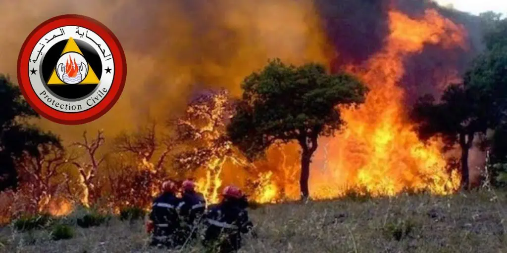 Béjaia : la protection civile fait le point sur les feux de forêt