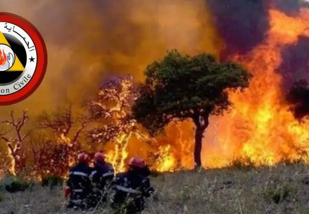 Béjaia : la protection civile fait le point sur les feux de forêt