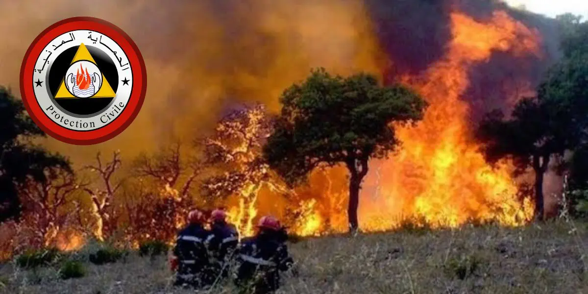 Béjaia : la protection civile fait le point sur les feux de forêt