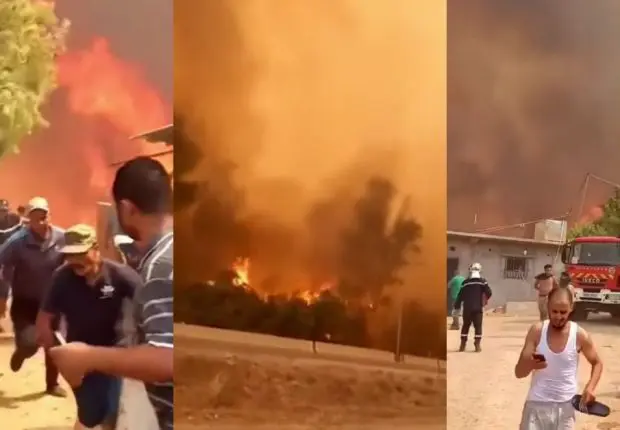 Incendies à Sétif et El Tarf : le bilan des décès s’alourdit