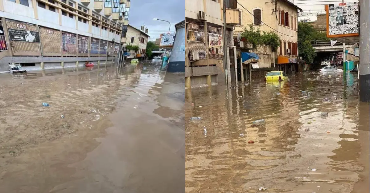 Inondations à Souk Ahras : les intempéries font plusieurs dégâts