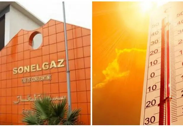 Canicule en Algérie : Sonelgaz lance un appel aux citoyens