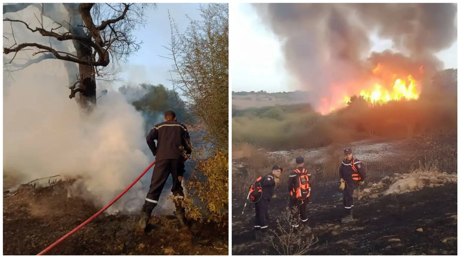 Feux de forêts : la protection civile livre un nouveau bilan