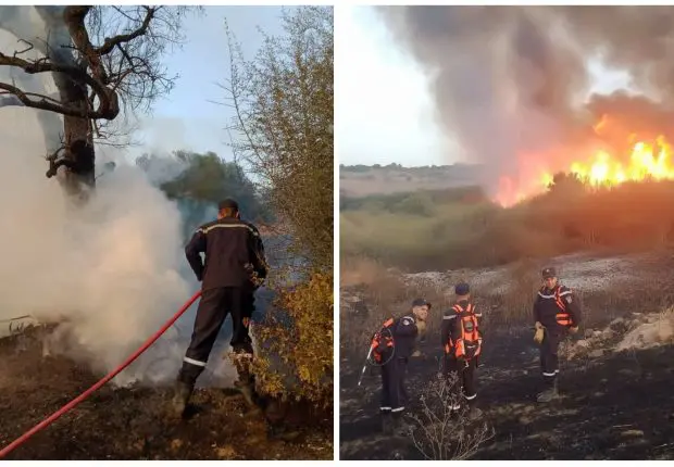 Feux de forêts : la protection civile livre un nouveau bilan