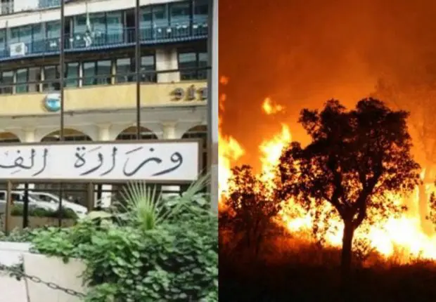 Feux de forêt : le ministère de l’agriculture livre une mise au point