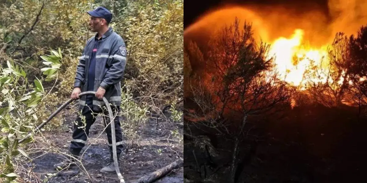 Feux de forêts : la protection civile fait le point sur le bilan