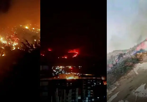 Feux de Forêts en Algérie : 12 wilayas touchées