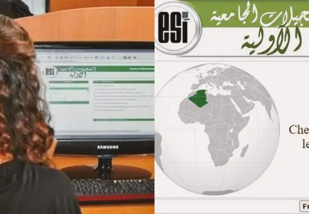 Bac 2022 : les résultats des affectations connus, les prochaines étapes